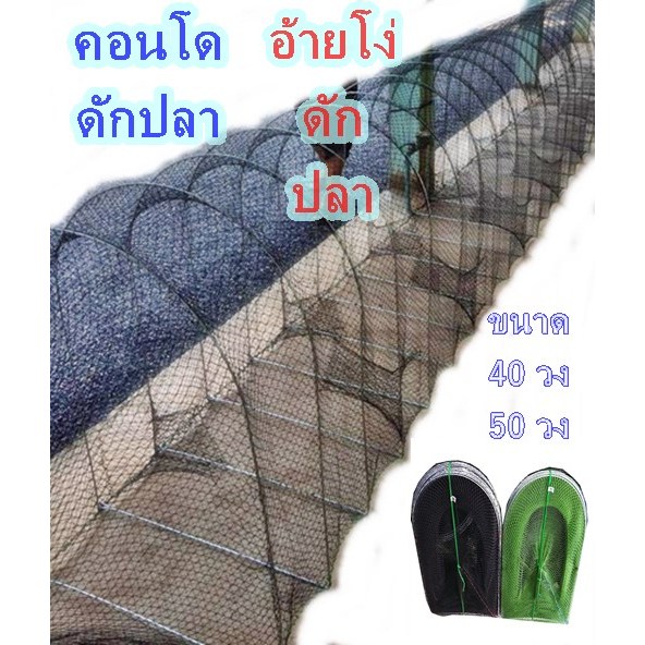 โง่ดักปลาคอนโดดักปลาไซดักปลาU90×40วง×50วง