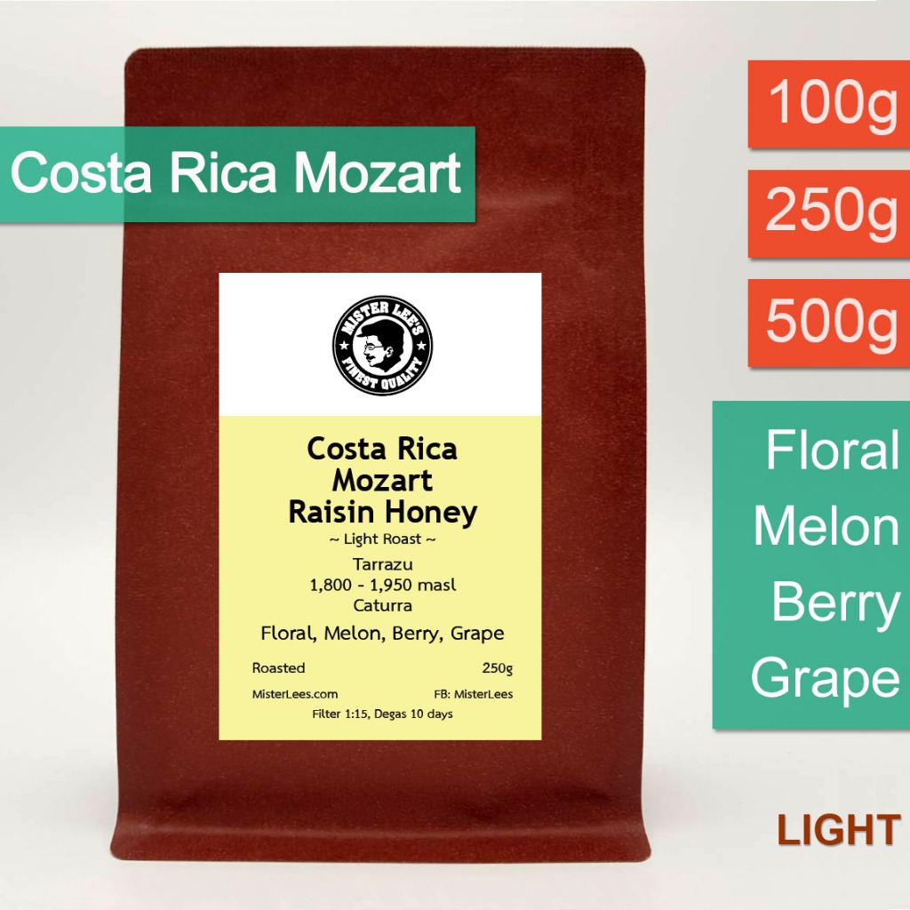 Costa Rica Mozart เมล็ดกาแฟคั่วอ่อนคอสตาริกาโมสาท