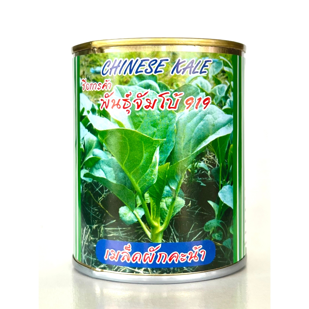 เมล็ดพันธุ์ผักคะน้า จัมโบ้ 919 กระป๋อง 1/4 ตราปลาทอง ก้านและลำต้นอวบกรอบ น้ำหนักดี ทนอากาศร้อนชื้น ปลูกได้ทุกฤดู 50 กรัม