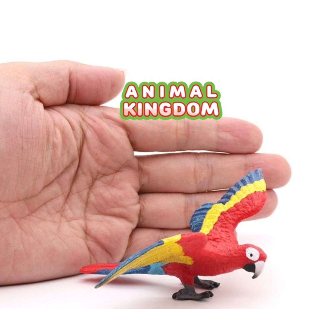 Animal Kingdom โมเดลสัตว์ Bird นก แก้ว แดง ขนาด 9.50 CM (จากหาดใหญ่)