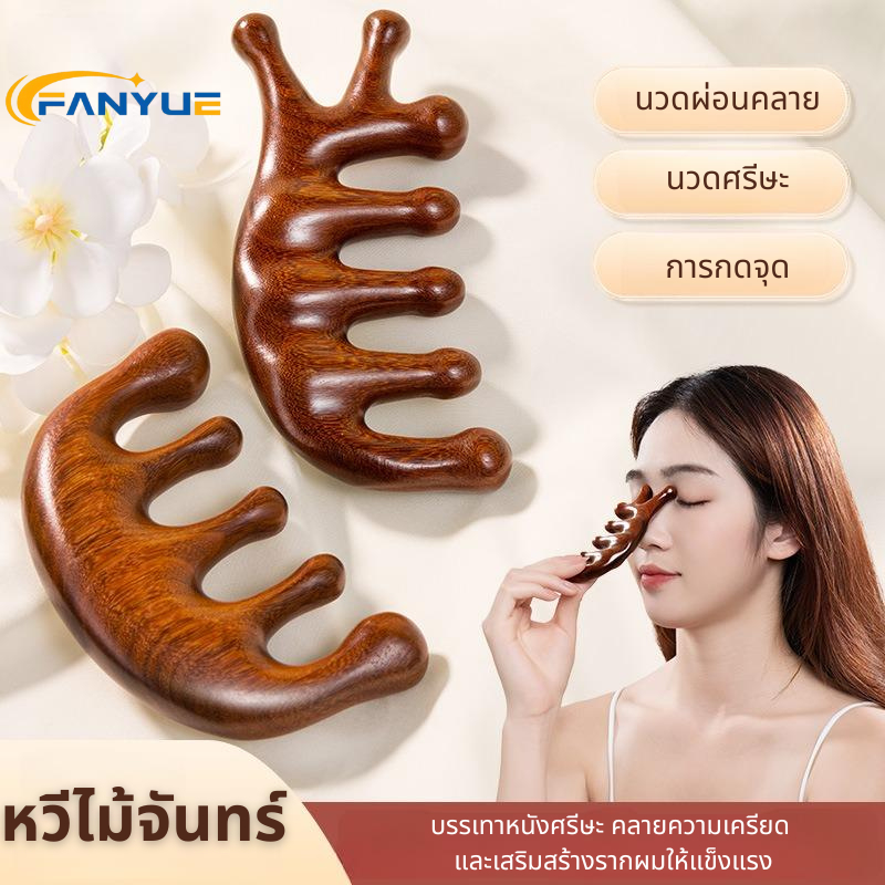 สินค้าพร้อมส่ง! หวีไม้จันทร์ หนังศรีษะ หวีนวดผมผ่อนคลาย ป้องการไฟฟ้าสถิตย์ สําหรับผู้ชาย และผู้หญิง หวีกัวซา JD025