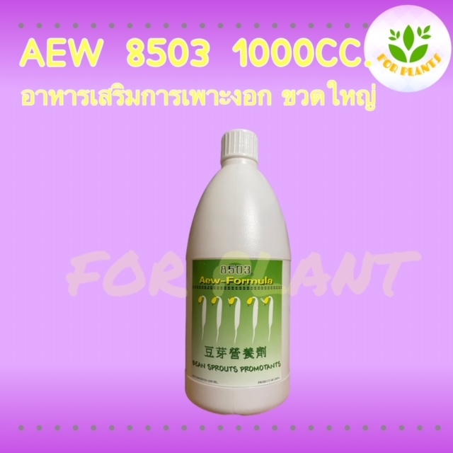 ฮอร์โมน8503 ขวดใหญ่ 1000มิลลิลิตร ฮอร์โมนเพาะงอก ฮอร์โมนถั่วงอก เพาะถั่วงอก ควรใช้คู่กับ 8503ขวดเล็ก ถั่วงอกอ้วน ถั่วงอก