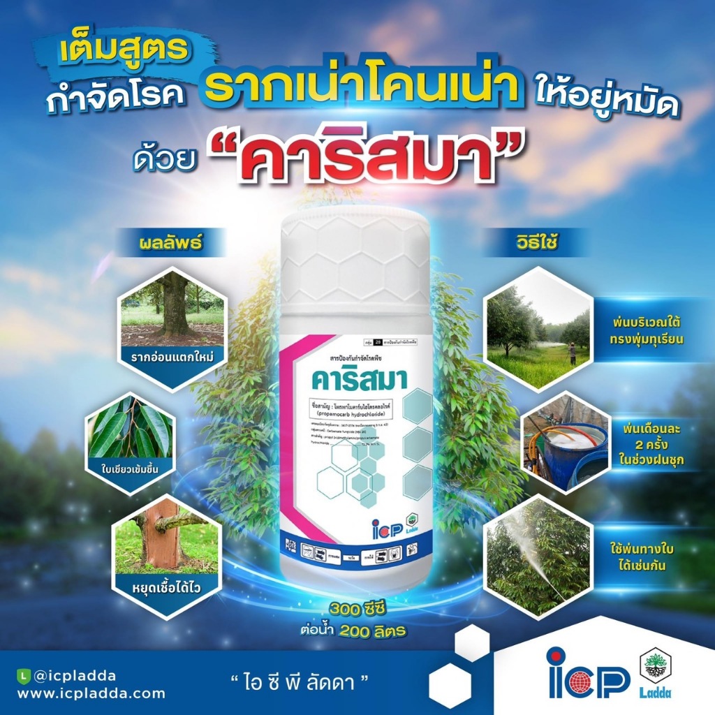 คาริสมา (โพรพาโมคาร์บไฮโดรคลอไรด์ 72.2% SL) สารป้องกันกำจัดโรคเน่าคอดิน -ขนาด1ลิตร