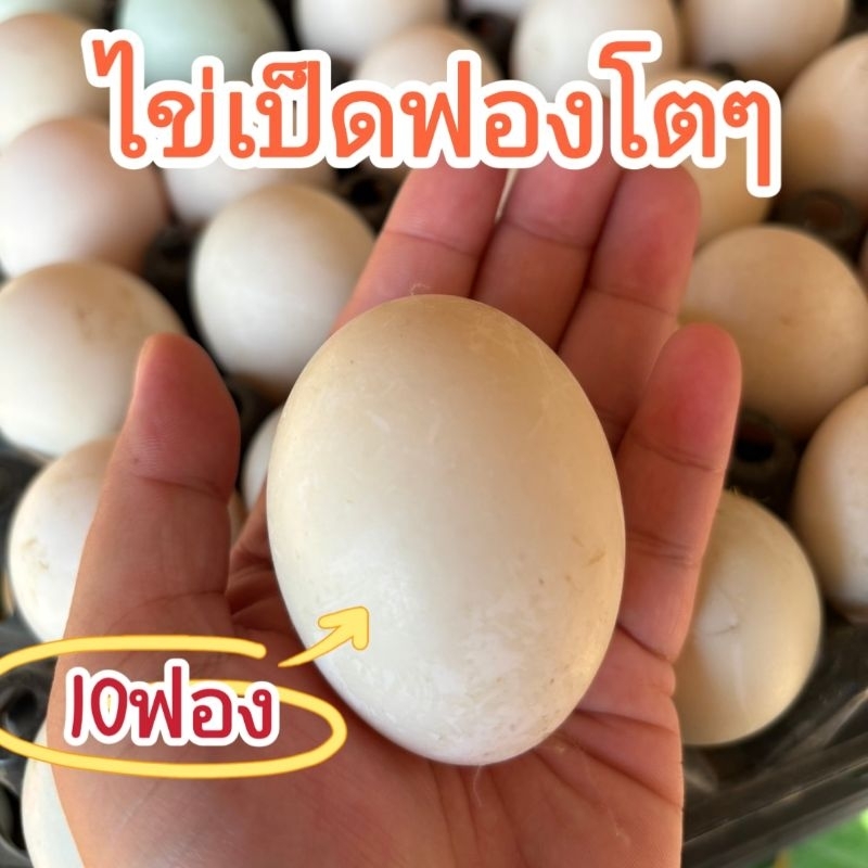 ไข่เป็ดฟองใหญ่​ ไข่แดง​ ทำอะไรก็อร่อยจ้า แพ็ค10ใบและแพ็ค30ใบ