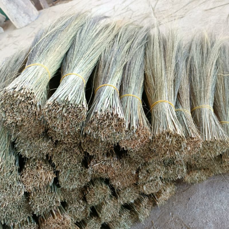 #ดอกไม้กวาด #ไม้กวาด #ดอกไม้กวาดทำไม้กวาด #ดอกไม้กวาดคัดแล้ว #ดอกไม้กวาดเกรดA
