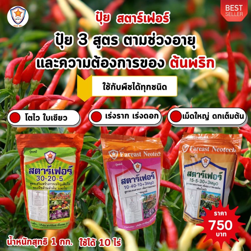 ปุ๋ยสตาร์เฟอร์ ปุ๋ยคุณภาพสูง 3 สูตร ครบทุกความต้องการของต้นพริก สูตรเร่งโต สูตรเร่งราก เร่งดอก สูตรเม็ดใหญ่ ดกเต็มต้น