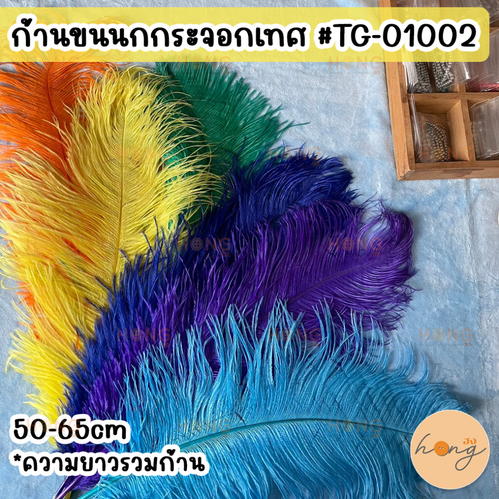 ก้านขนนกกระจอกเทศ 1 ก้าน ยาวประมาณ 50-65 cm #TG-01002 [พร้อมส่งในไทย]