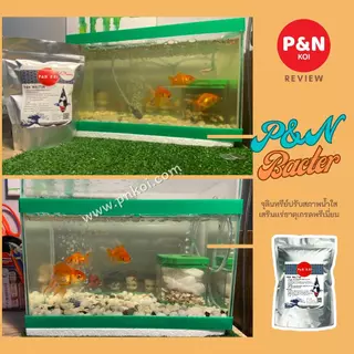 น้ำใส ไร้กลิ่น ด้วย P&N BACTER
