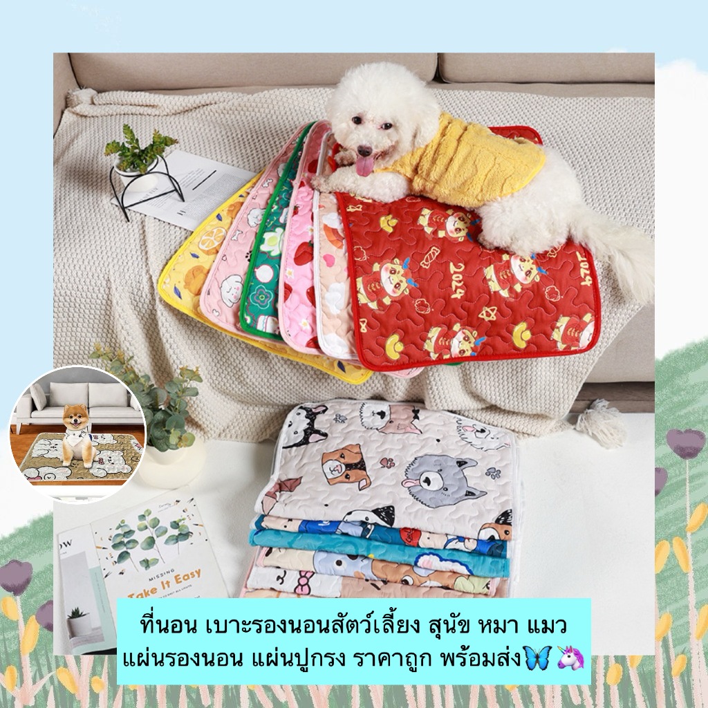 AL-804 ที่นอน เบาะรองนอนสัตว์เลี้ยง สุนัข หมา แมว แผ่นรองนอน แผ่นปูกรง ราคาถูก พร้อมส่ง🦋🦄