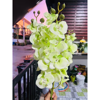 ดอกกล้วยไม้ ดอกฟาแลยผ้า (พร้อมส่งจากไทย)(ดอกกล้วยไม้1ก้าน บาน7+ตูม3 รวม10ดอกก้านยาว45ซม.)ดอกกล้วยไม้ง ดอกฟาแลน กล้วยไม้