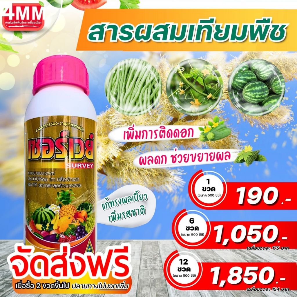 เซอร์เวย์ ขนาด 500 ซีซ๊
