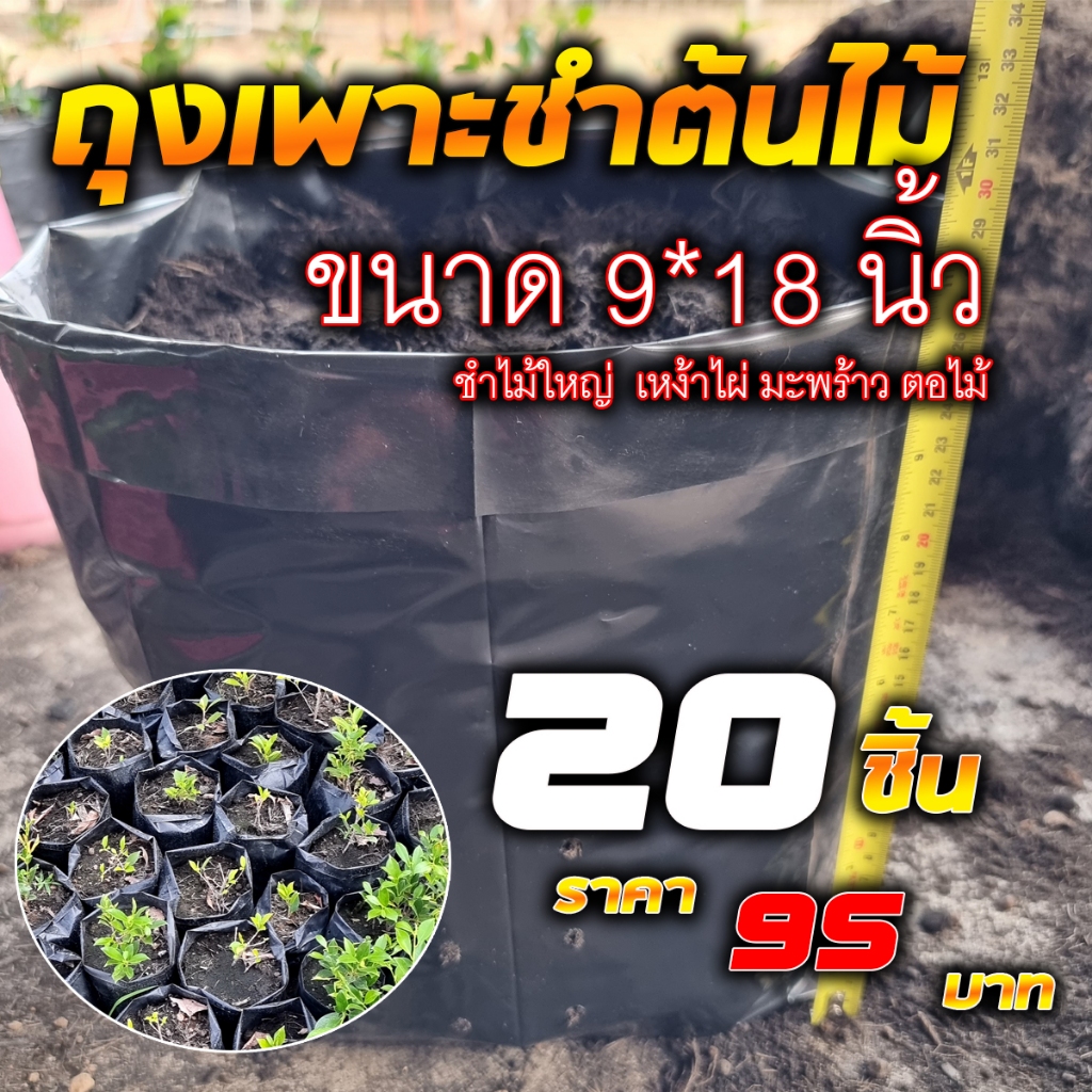 ถุงเพาะชำ ถุงดำเพาะชำ ถุงเหนียว ขนาด 9*18 นิ้ว ถุงเพาะต้นไม้ ถุงเพาะต้นมะพร้าว ถุงเพาะขนาดใหญ่
