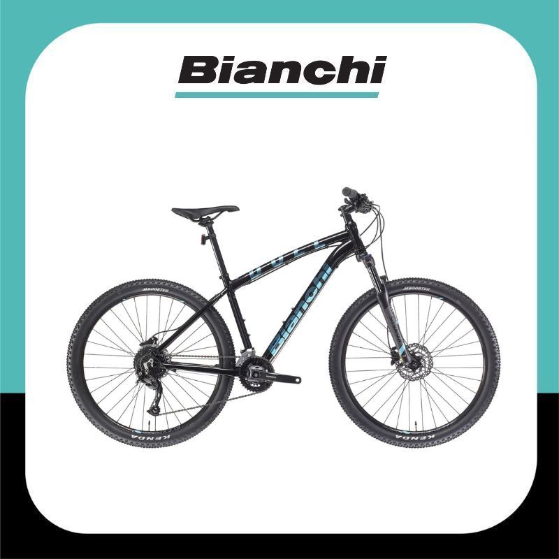 จักรยานเสือภูเขา Bianchi รุ่น DUEL 29S Alivio MIX 2X9 Sp
