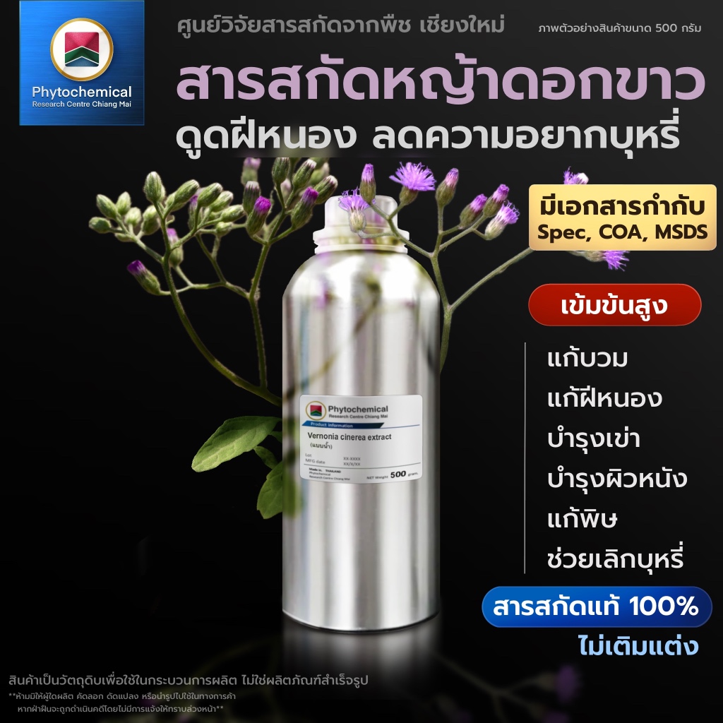 สารสกัดหญ้าดอกขาว(หมอน้อย)(แบบน้ำ) Little ironweed extract | สารสกัดจากพืช สารสกัดสมุนไพร 100% | เข้มข้นสูง 25-100 g.