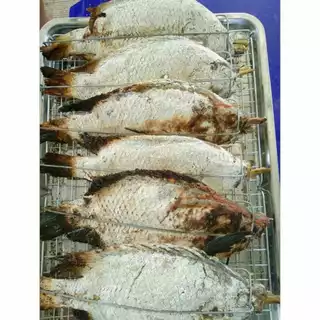 เหล็กอบปลานิลอบโอ่งรุ่นใหม่ใชัลวดใหญ่กว่าเดิม แข็งแรงยิ่งขึ้น​ ยาว35ซม.​ บรรจุมัดละ​10อัน​ มัดละ200บ. ทนทาน ใช้งานได้นาน