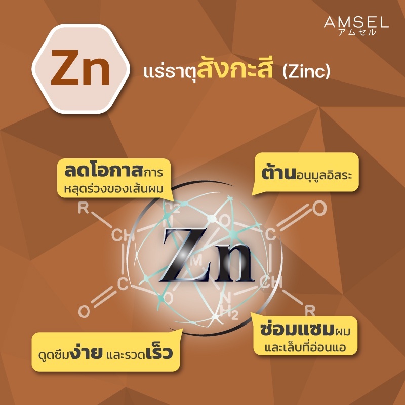 Amsel Biotin + Zinc & Horsetail Extract แอมเซล ไบโอติน ซิงค์ และสารสกัดจากหญ้าหางม้า (30 แคปซูล/ขวด) ราคา ถูกที่สุด ดีลบีเคเค แกลเลอรีภาพที่ 8