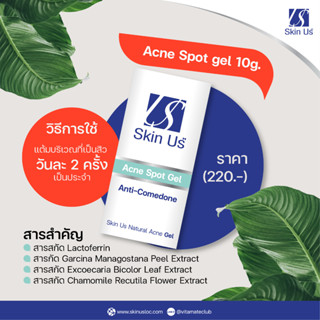 เจลแต้มสิว Skin US Natural Acne Gel 10 g.