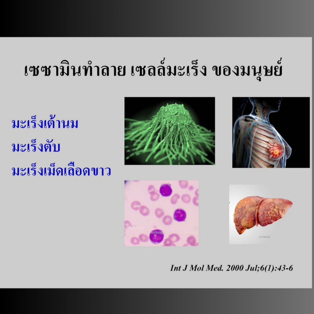 งาดำกิฟฟารีน เซซามิ-เอส สารสกัดจากงาดำ สารเซซามิน20มก ดูแลกระดูก ตับ สมอง มะเร็ง ลดไขมันความดัน ราคา ถูกที่สุด ดีลบีเคเค แกลเลอรีภาพที่ 4