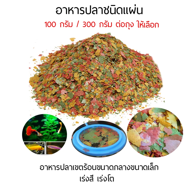 อาหารปลาชนิดแผ่น อาหารปลาขนาดเล็กเขตร้อน อาหารปลา สำหรับหางนกยูง และปลาขนาดเล็ก เร่งสี เร่งโต