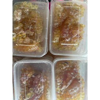 ไข่ปลาริวกิว 🐟(190-200g.) ⚡️ส่งด่วน 🔥ค่าส่งเหมา ✅คละได้ทั้งร้าน❗️ 🚚💨ส่งขนส่งรถแช่เย็น🎉ฟรี ลังโฟมทุกจังหวัด