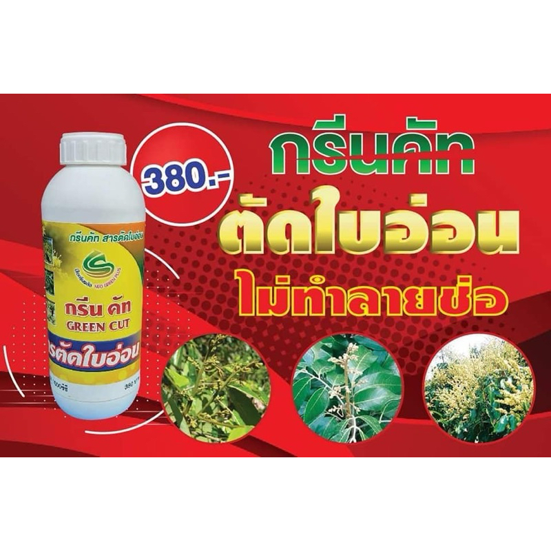 ตัดใบอ่อน กรีนคัทตัดใบอ่อน หยุดใบอ่อน ตัดใบอ่อน แก้ปัญหาใบอ่อนแซมช่อดอกบรรจุ 1000 ซีซี
