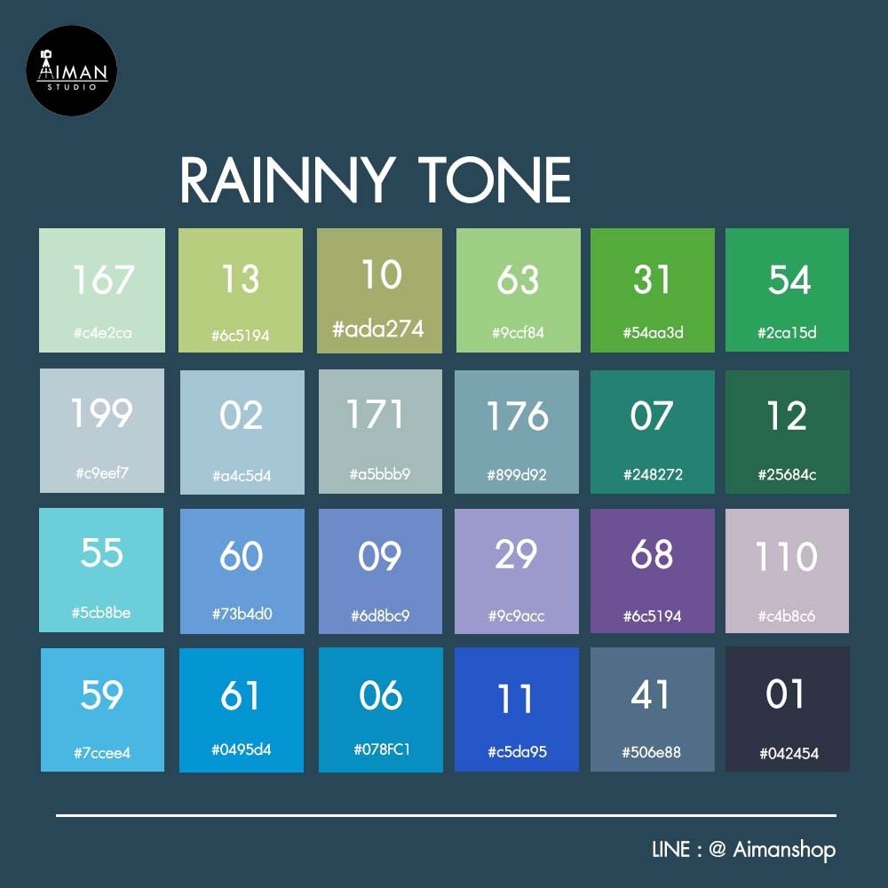 ฉากกระดาษ Limbo Paper Background 2x3 เมตร (Rainny Tone/เลือกได้ 1 สี)