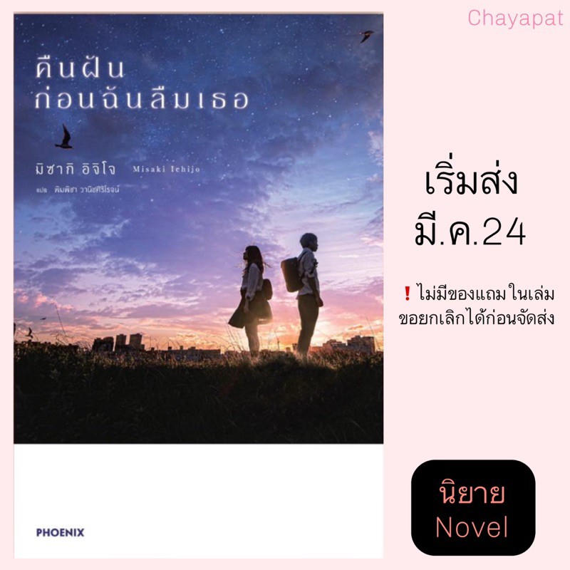 LN คืนฝัน ก่อนฉันลืมเธอ | Even If This Love Disappears from the World Tonight