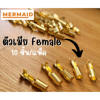 หางปลาทองเหลือง กลม 4 มม. ตัวเมีย/ตัวผู้ [10ชิ้น/แพ็ค]