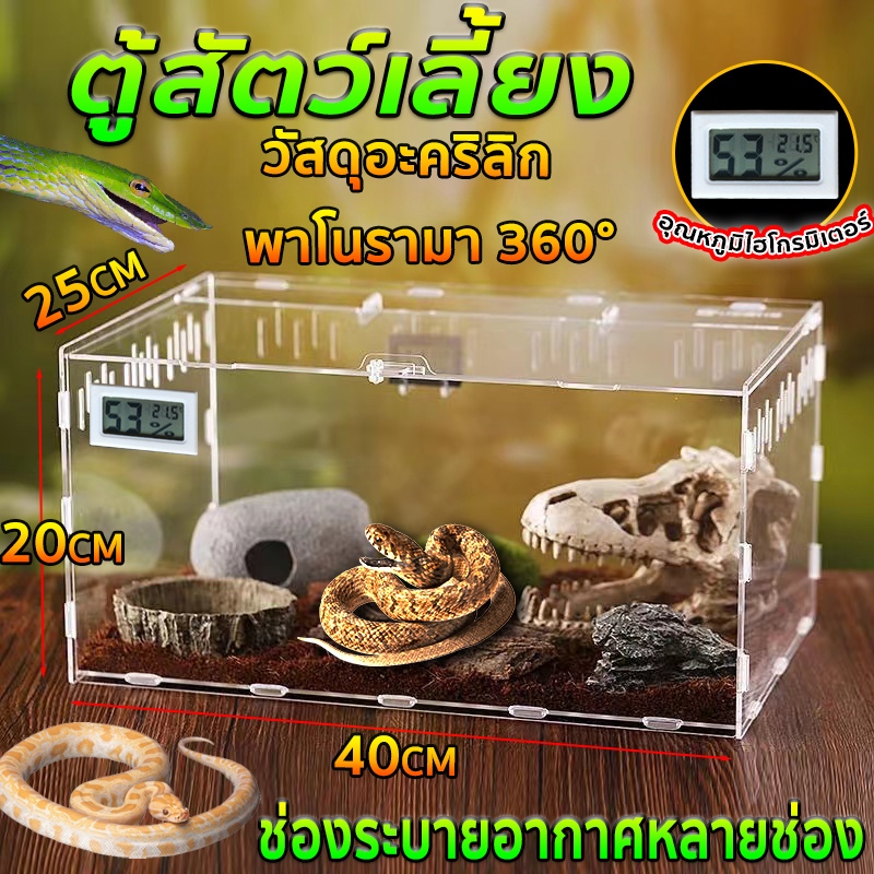 เลี้ยงสัตว์ กรงอะคริลิกเลี้ยงสัตว์  กล่องเลี้ยงสัตว์เลื้อยคลาน​ กบ​ งู​ แมลงเต่าทอง​ ตะขาบ​ กิ้งก่า​ เก๊กโค​ แมงมุม