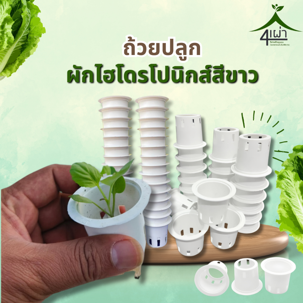 ถ้วยปลูกผักไฮโดรโปรนิกส์ สีขาว แบบหนา เกรดA