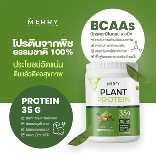 Merry Plant Proteinโปรตีนพืช 5 ชนิด รสMatcha Green Tea Flavor 1 กระปุก 2.3lb. / 1,050g [20 Servings]