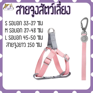 สายจูง ที่รัดอก สำหรับสัตว์เลี้ยง dog leashes [สายเทา]