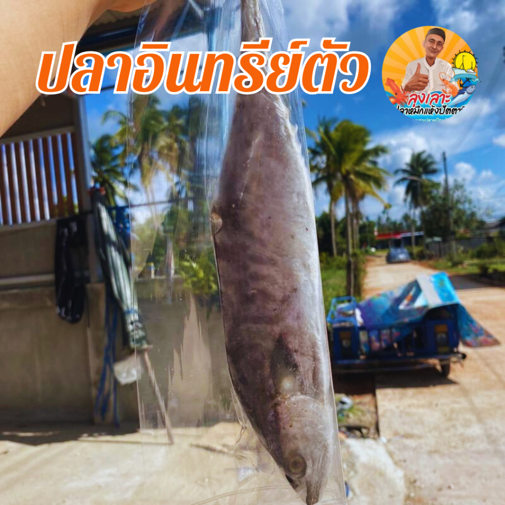 ปลาอินทรีย์แห้งเค็ม ตัวเล็ก