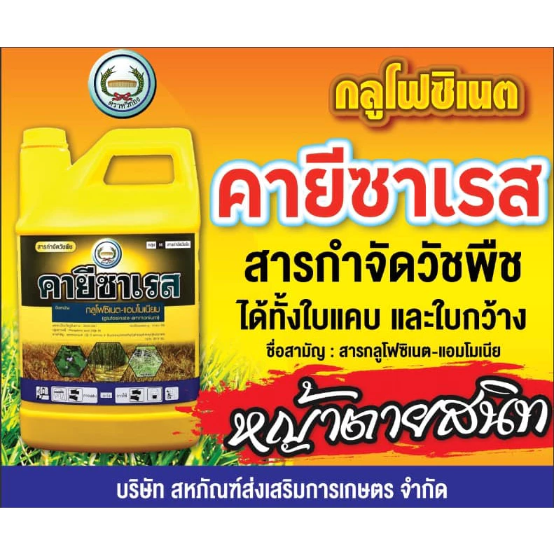 คายีซาเรส ขนาด 4ลิตร ยกลัง 6 แกลอน ของแท้ thumbnail 5