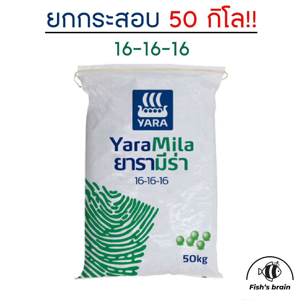 50กิโล!! 🌱ปุ๋ยยารามีร่า 16-16-16 ปุ๋ย เร่งใบ เร่งดอก เร่งแตกยอด ปุ๋ยสูตรเสมอ