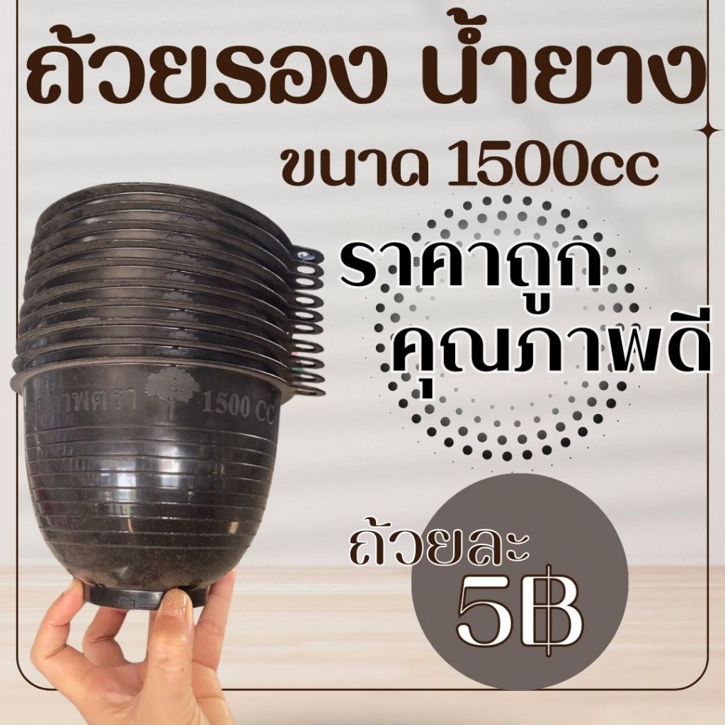 ถ้วยรองน้ำยาง ขนาด 1500cc คุณภาพดีเยี่ยม จุเยอะ เก็บเยอะ #ถ้วยเก็บน้ำยาง #ยางพารา #จอกยาง แพค 10 และ แพค 20