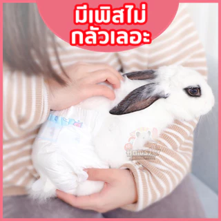 ผ้าอ้อมสัตว์เลี้ยง แพมเพิสสัตว์เลี้ยง ผ้าอ้อมกระต่าย แพมเพิสกระต่าย