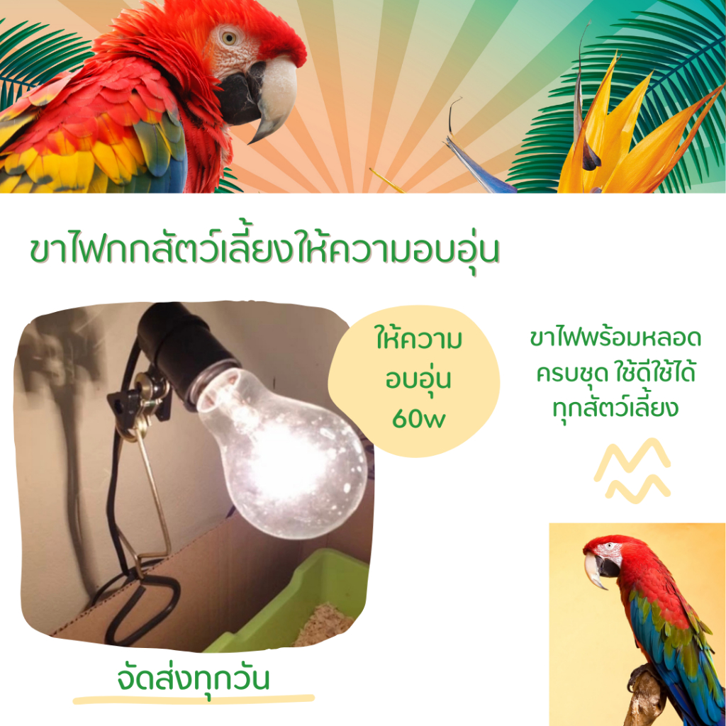 ไฟกกนก ไฟกกสัตว์เลี้ยงให้ความอบอุ่น1ชุดขาไฟพร้อมหลอดไฟ