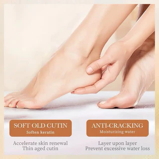 ครีมทาเท้า Sadoer Shea Butter Foot Cream 60 กรัม บำรุงผิวเท้า ผิวเนียนนุ่มชุ่มชื้น ลดผิวแตกแห้ง กลิ่นหอม N565