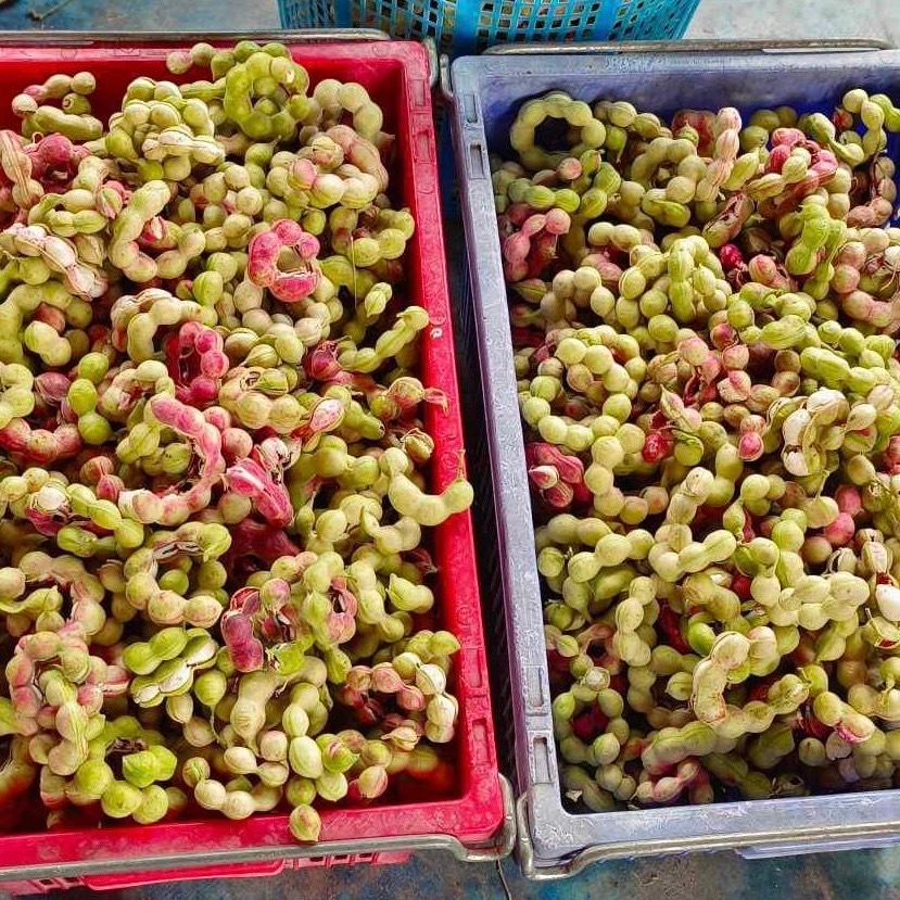 รูปภาพ 4