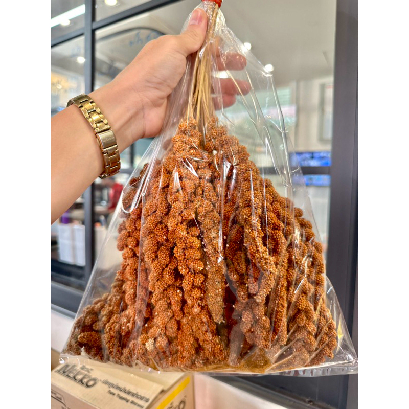 มิลเล็ตสเปรย์แดงแท้ เกรดA ขนาด 500 g. ( ครึ่งโล ) 💥น้ำหนักเกินทุกช่อ💥คัดทุกช่อ