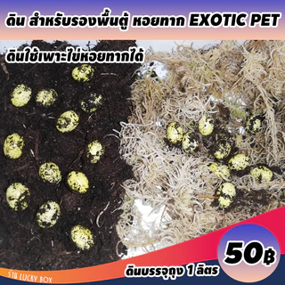 ดินเลี้ยงทาก หอยทาก ดินรองพื้นตู้ Vivarium Exotic pet ลิตรละ 50 บาท