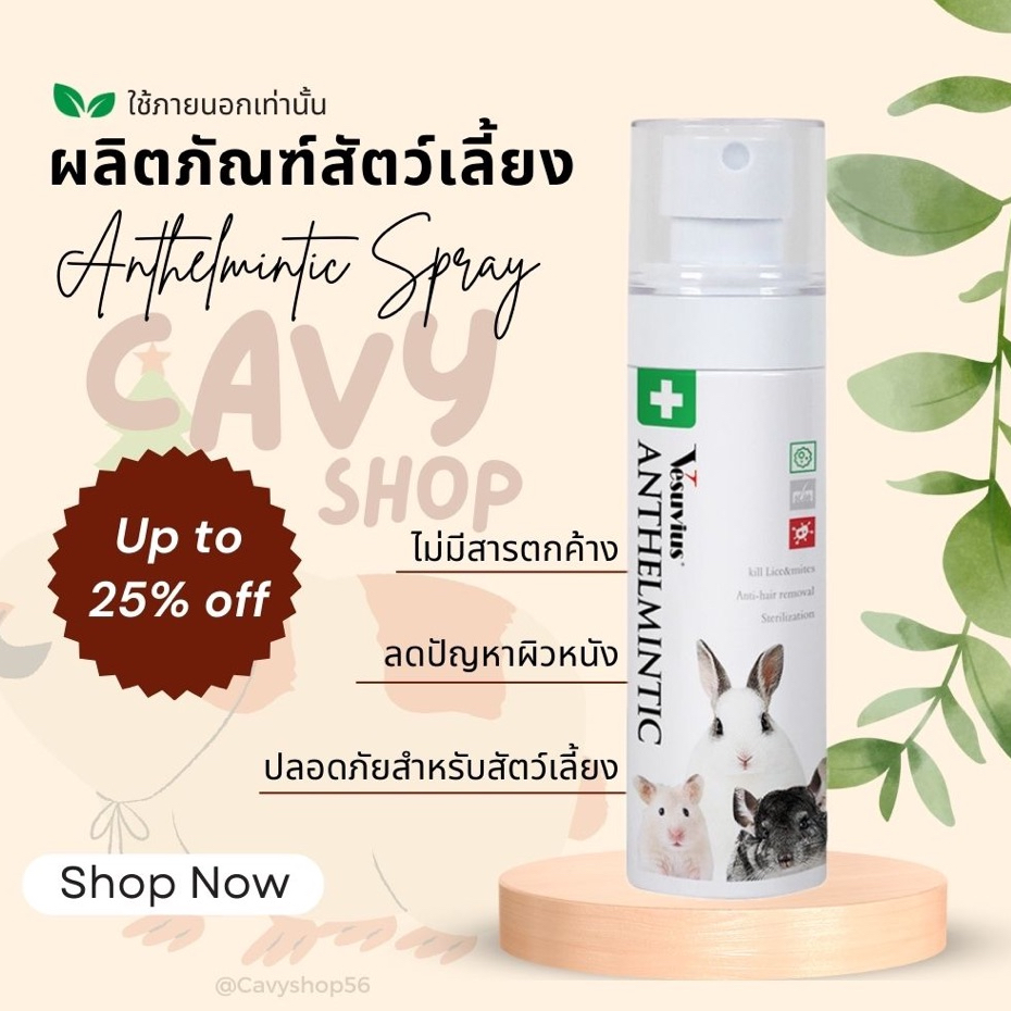 สเปรย์ควบคุมกลิ่นป้องกันโรคผิวหนังเหาและไรสาเหตุหนึ่งภาวะขนร่วง หนูแฮมสเตอร์ แกสบี้ กระต่าย สัตว์เลี้ยงขนาดเล็ก
