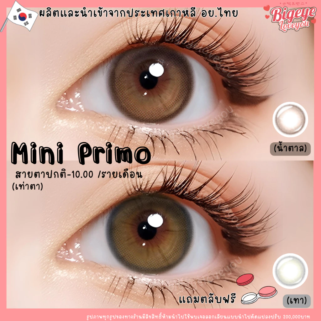 คอนแทคเลนส์ Mini Primo Gray / Brown (Kitty Kawaii) ขนาดมินิ เนียน ธรรมชาติ ขายดีมาก