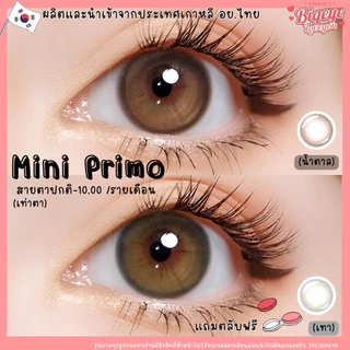 คอนแทคเลนส์ Mini Primo Gray / Brown (Kitty Kawaii) ขนาดมินิ เนียน ธรรมชาติ ขายดีมาก