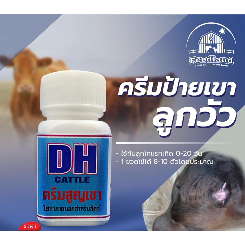 ครีมป้ายเขาลูกวัว *ราคาถูกที่สุด*
