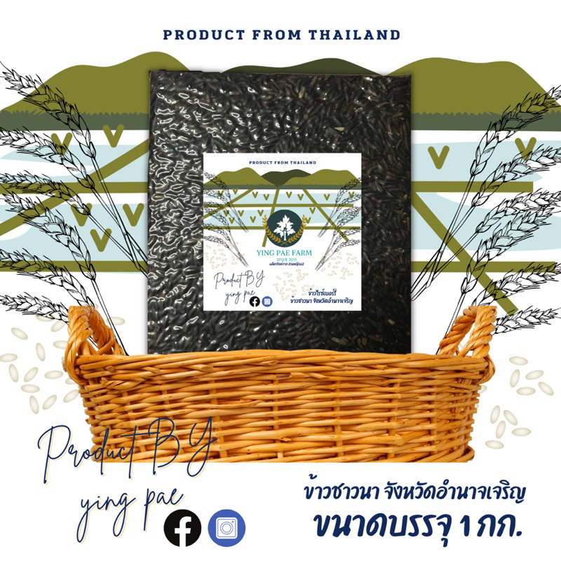 YING PAE RICE ข้าวไรซ์เบอร์รี่ [ 5 แถม 1] ข้าวเพื่อสุขภาพ ข้าวชาวนาอำนาจเจริญ ขนาดบรรจุ 1 กก