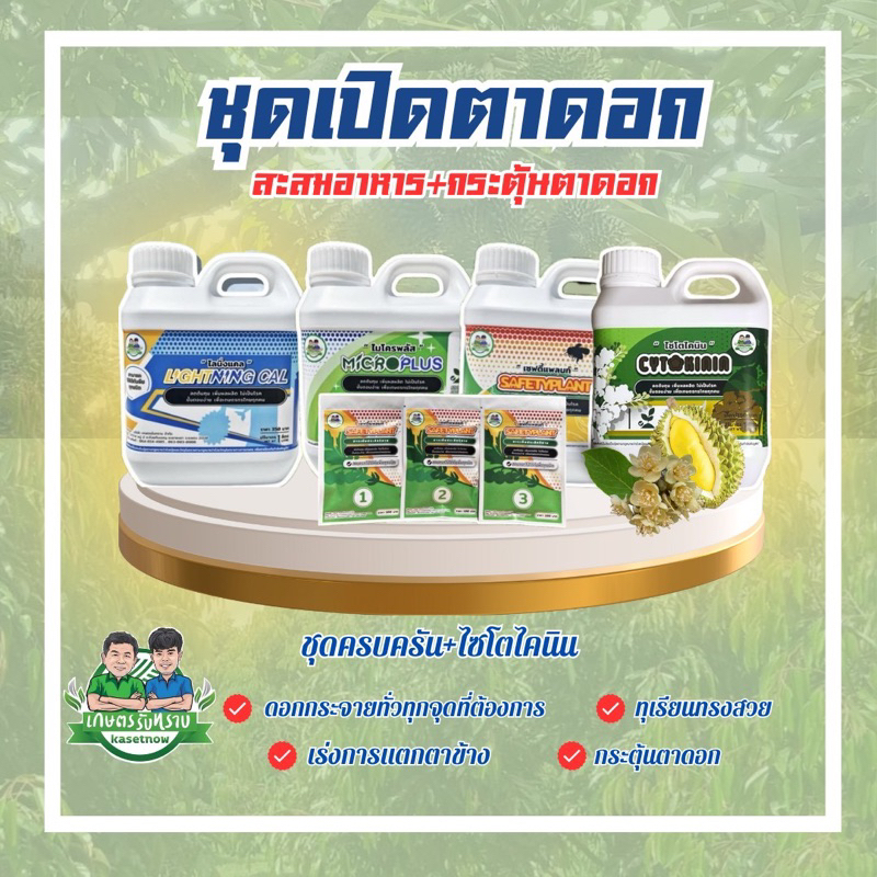 (ชุดเปิดตาดอก) ชุดครบครัน+ไซโตไคนิน เกษตรรับทราบ ปุ๋ยอาจารย์โรจน์ กระตุ้นตาดอก สะสมอาหารครบ
