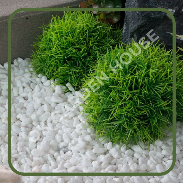 Ok Garden House กรวดขาวหิมะ