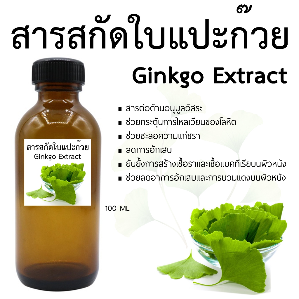 สารสกัดใบแปะก๊วย Ginkgo Extract 100 ML I สำหรับใช้ในเครื่องสำอางเท่านั้น